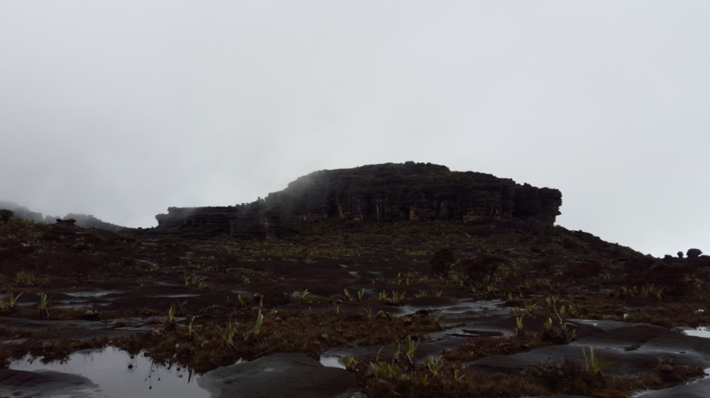 El famoso Maverick de Roraima. Es también el punto más alto del Tepuy. 